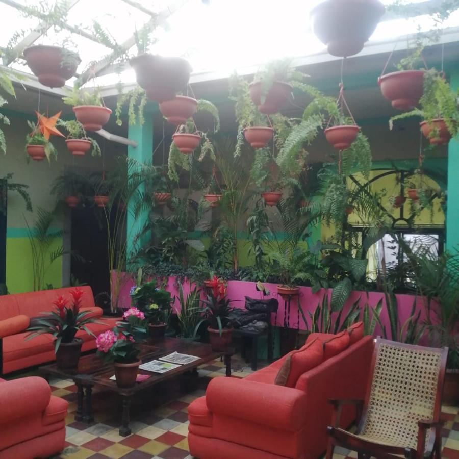 Hotel Kasa Kamelot Central Quetzaltenango Luaran gambar