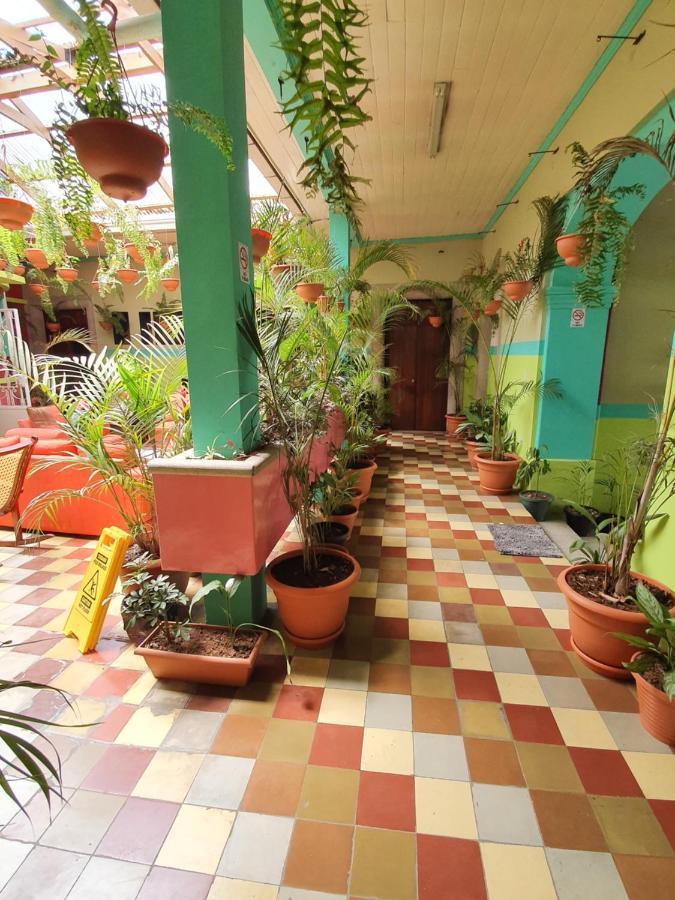 Hotel Kasa Kamelot Central Quetzaltenango Luaran gambar